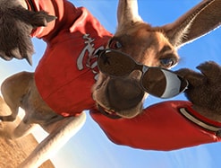 Азартные австралийцы выбирают реальные или онлайн казино? 